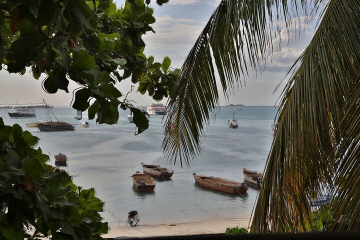 Boats in a bay framed by palm leaves
