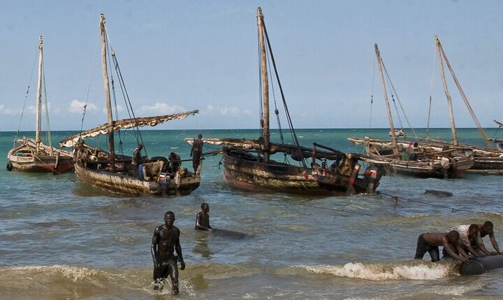 Dhows moored in a harbour