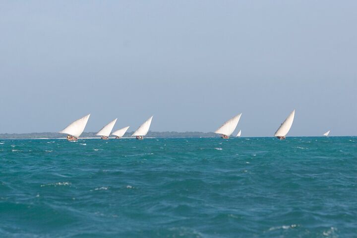 A fleet of dhows racing under white sails