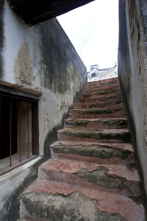 Worn stone stairs climbing a narrow ruin