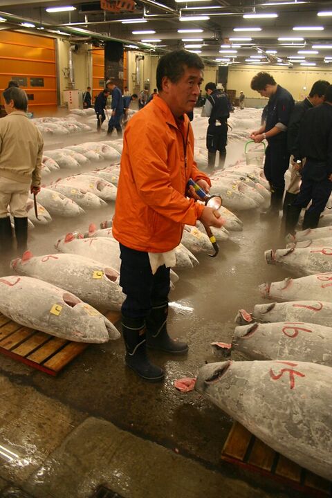 Man in orange inspecting frozen tuna